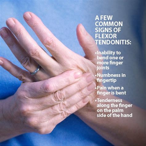 Tendon Hand Injuries Flexor And Extensor Orthopaedic