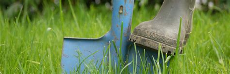 In drei schritten zum ergebnis der bodenuntersuchung: Bodenuntersuchung | Liebe Deinen Garten