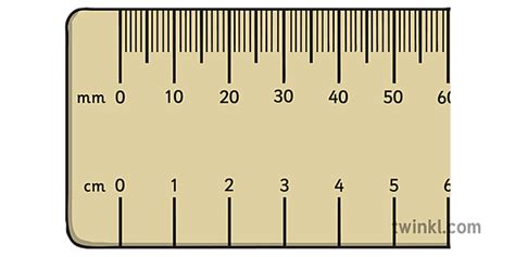 Millimetre Ruler Dibujo