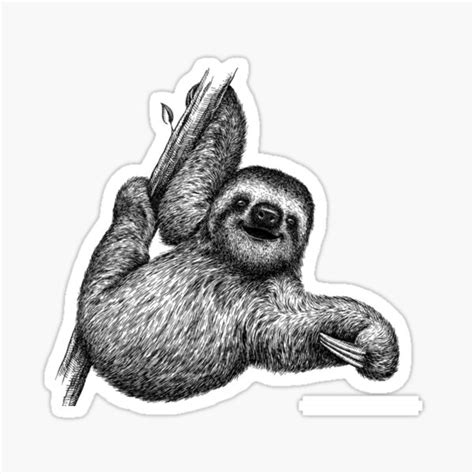 Cute Sloth Sticker For Sale By Socuteanimals Redbubble