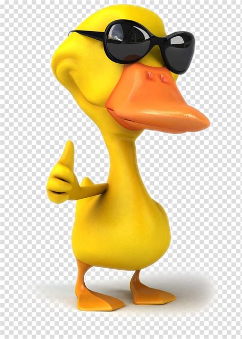 Free Download Duck Wearing Sunglasses Illustration Cartoon Duck