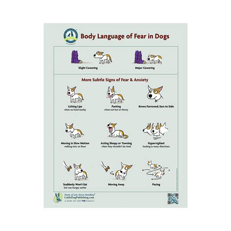 Body Language Of Fear In Dogs Packet Of 25 Handouts Cattledog