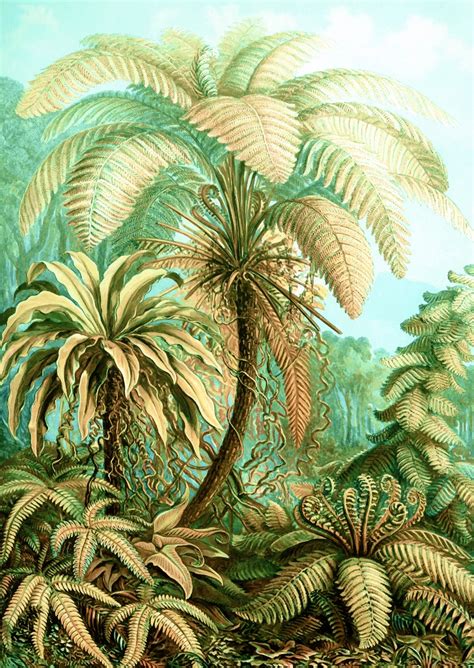 Buy Vintage Tropical Wallpaper Free Shipping