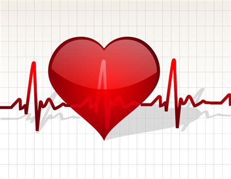 Beating Heart Graphics Vector Art And Graphics