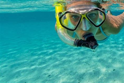 Tripadvisor Tour De Snorkel En Roatán Ofrecido Por Roatan 21 Tours