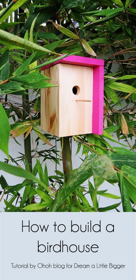 These adorable little birds are found almost everywhere! How to build a birdhouse ⋆ Dream a Little Bigger