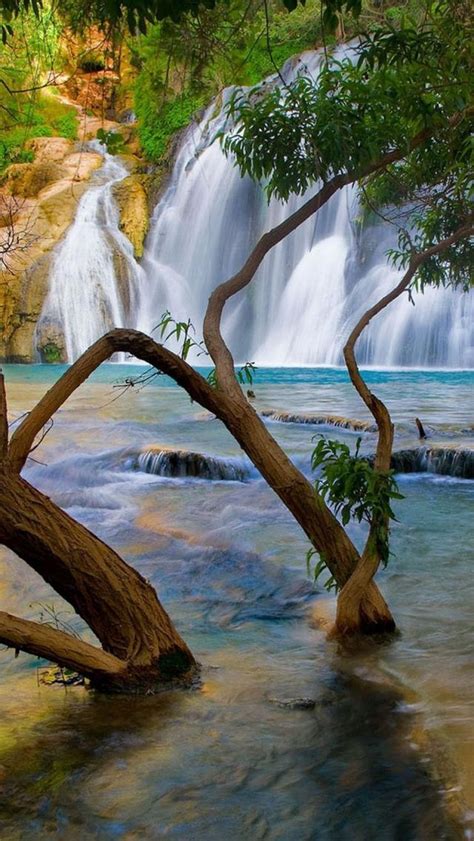 Tropical Waterfall ♥♥ Amazing Photography ♥♥ Pinterest
