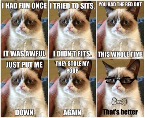 24 Most Funniest Grumpy Cat Meme Pictures And Jokes Kent Info