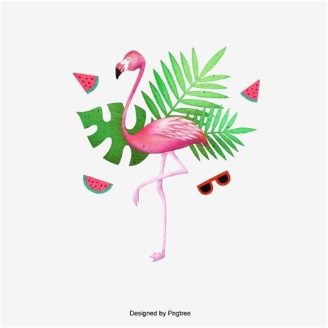 Flamingo Com Folhas E Melancia Fundo PNG Clipart De Flamingo