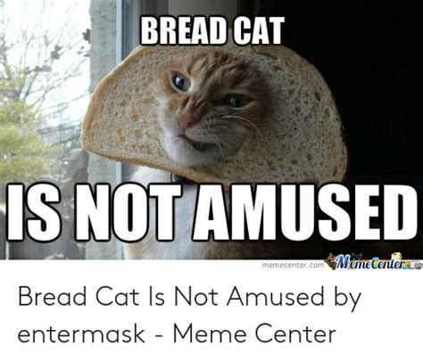 🔥 25 Best Memes About Not Amused Meme Not Amused Memes