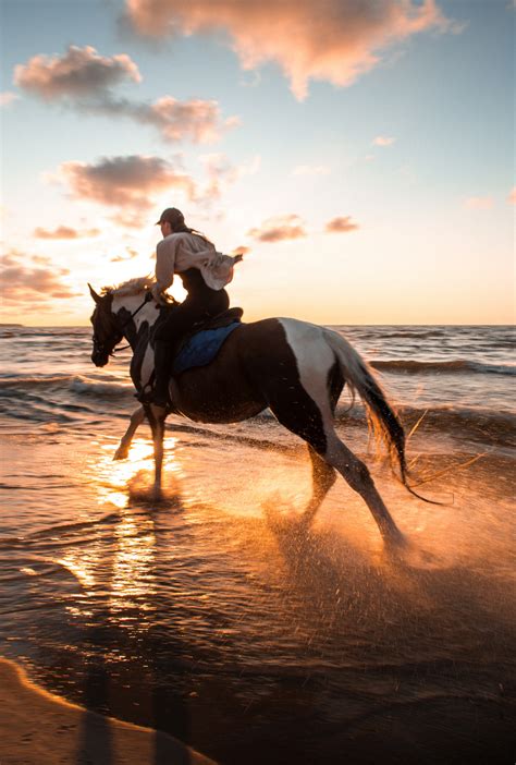 9 Of The Best 2022 Beach Horseback Riding Destinations In The United