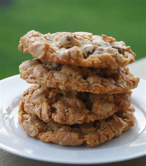 The compost cookie has nothing to do with garbage. Little Bit of Everything: Compost Cookies