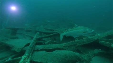 Diving The Wreck Of The Cairnside With Amazing Sea Life Youtube