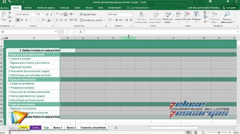 Descargar Vide02brain Gestión De Tesorería En Excel Para Pymes