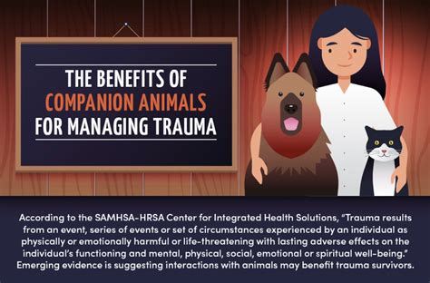 The Benefits Of Companion Animals For Managing Trauma