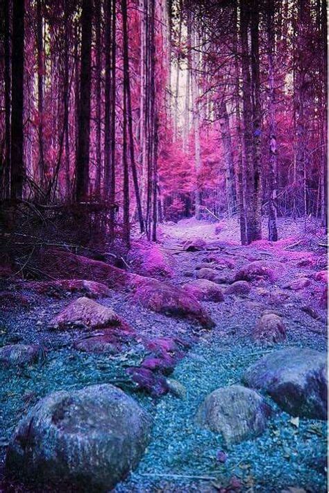 Paisaje En Violeta Paisaje De Fantasía Fondos De Pantalla Naturaleza