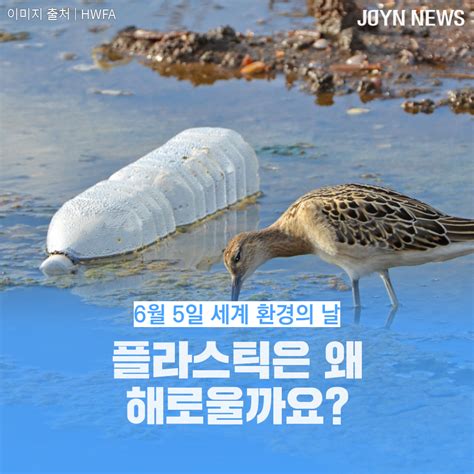 Joyn카드뉴스 6월 5일 ‘세계환경의 날 플라스틱은 왜 해로울까요