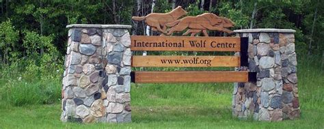International Wolf Center Junction Inn And Suites And Conference Center