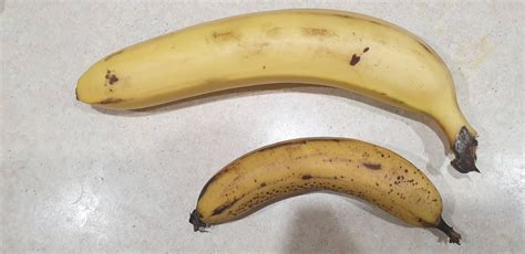 Big Banana With Normal Banana For Scale Pics
