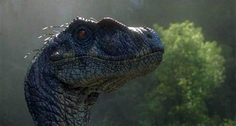 Jurassic Park 3 Male Velociraptor Classic Jurassic Park