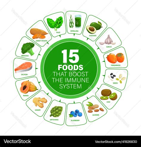 Food Boosters For Immune System Infographics Chart