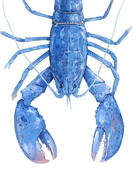 Blue Lobster Watercolor Print Nautical New England Wall Art Etsy
