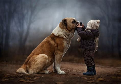 A Mothers Touching Portraits Of Her Sons Bonding With Animals