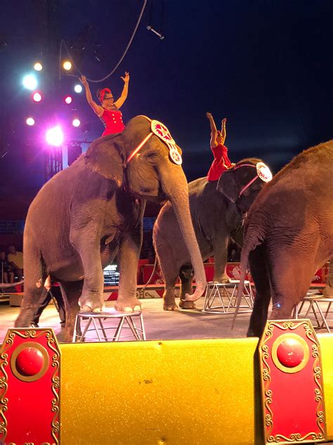 Circus World A History Of Exploitation And Abuse