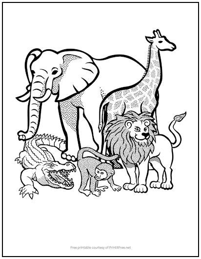 African Animals Kids Coloring Page Print It Free