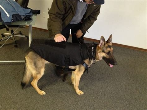 K 9 Bulletproof Vest Bulletproof Vests For Dogs