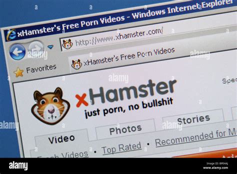 Hamster Just Porn Telegraph