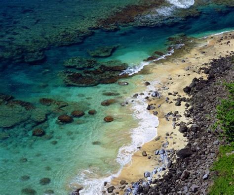 Somerset House Images Hawaii Kauai A Coral Reef On The Na Pali Coast