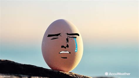 Ocd Eggs Memes