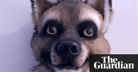 Its Not About Sex Its About Identity Why Furries Are Unique Among Fan Cultures Fashion