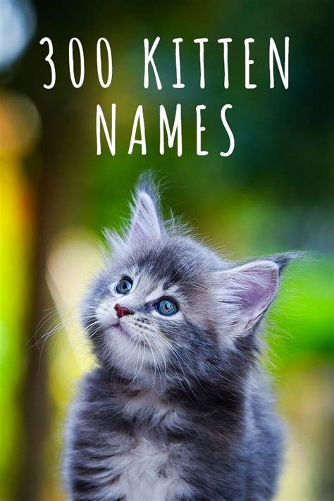Inscrutable Name Naming Of Cats - henigindesign