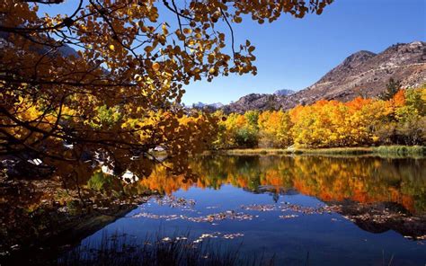 Looking for the best screensavers and wallpaper autumn scene? Fall Scene Wallpapers - Wallpaper Cave
