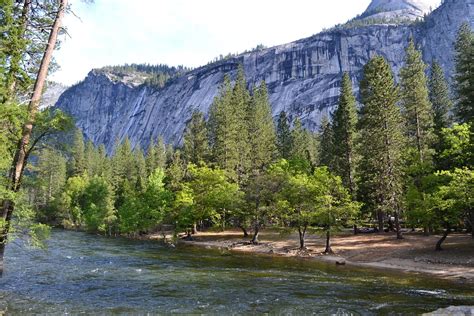 North Pines Campground Reviews And Photos Yosemite National Park Ca
