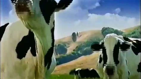 Real California Cheese The Singing Cows 2000 Tv Commercial Hd Youtube