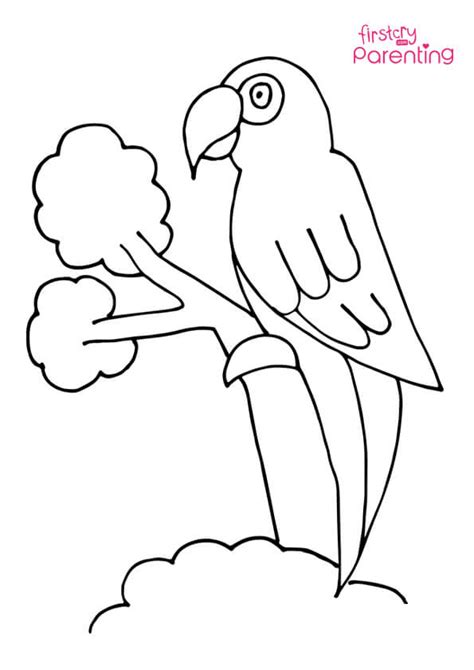 Talking Cartoon Parrot Coloring Page For Kids Firstcry Parenting