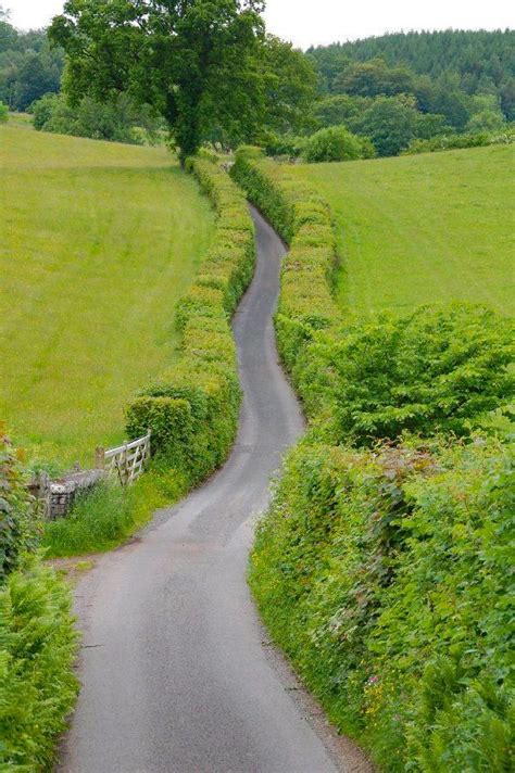 🇬🇧 Country Road Kent England Unable To Determine Photographer