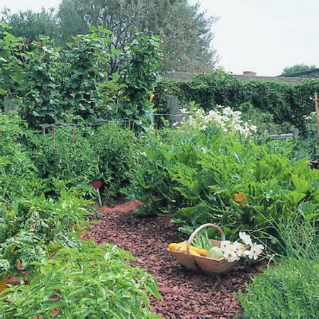 You don't need a pro for the ideas, the installation or feel pressured to impress anyone. Original ideas for garden paths. More than 60 pictures of garden path ideas for backyard or ...