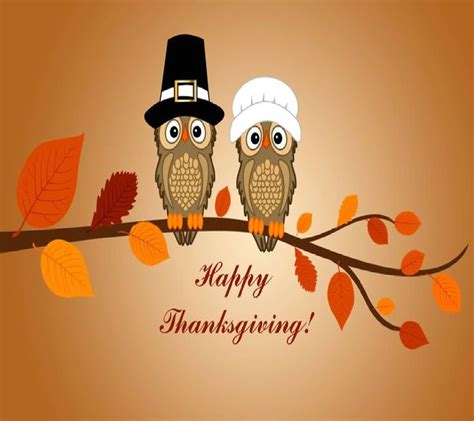 Download Thanksgiving Owls Wallpaper By Lynnettes 97
