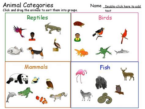 28 best 1st Grade Animal Unit images on Pinterest | Animal categories
