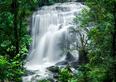 Tropical Rainforest Waterfall Stock Photo 03 Nature Stock Photo Free