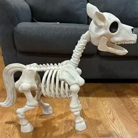 Ballsfhk Halloween Skeleton Animals Horse Skeletonhorse Skeleton