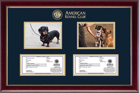 How Much Does It Cost To Register A Dog With The Kennel Club