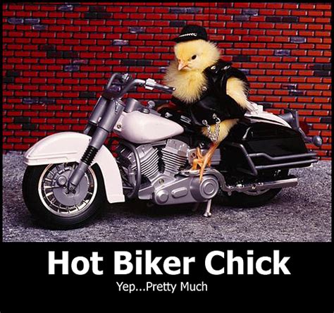 30 Hilarious Motorcycle Memes That Will Make You Screech With Laughter