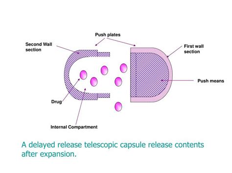 Ppt Osmotic Drug Delivery System Powerpoint Presentation Id710310