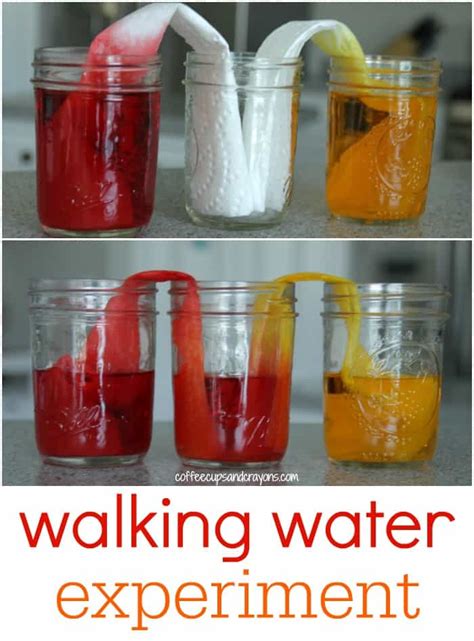 Walking Water Science Experiment For Kids Coffee Cups And Crayons