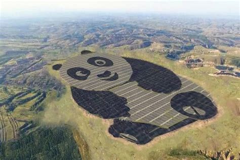 Planta Solar Con Forma De Oso Panda Inaugurada En China Factorenergia